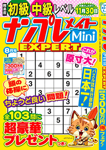 ナンプレメイトMini EXPERT